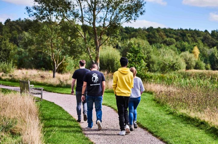 people walk trees