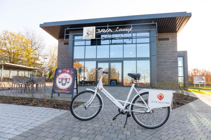 java lounge bike