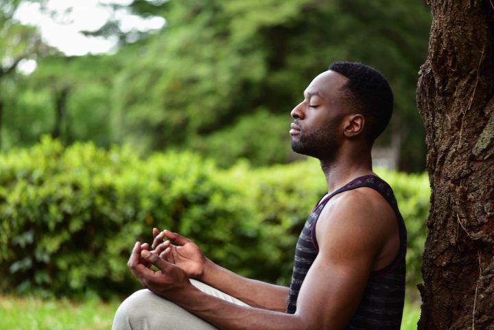 meditation tree